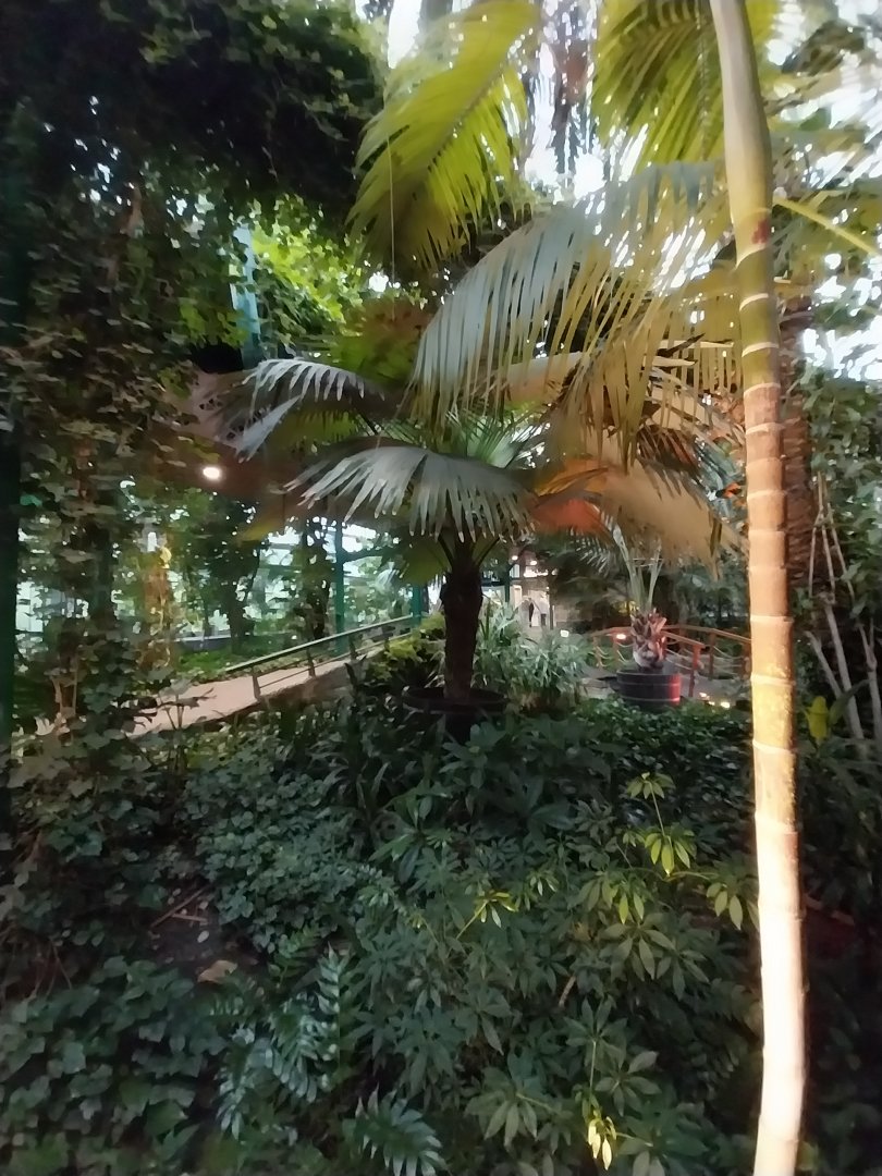 Palmiaria Miejska Gliwice - Historical Pavilion