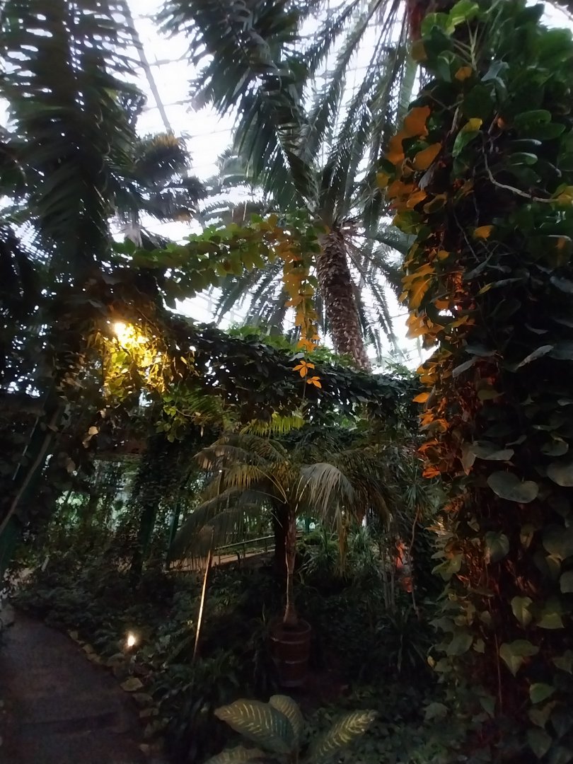 Palmiaria Miejska Gliwice - Historical Pavilion