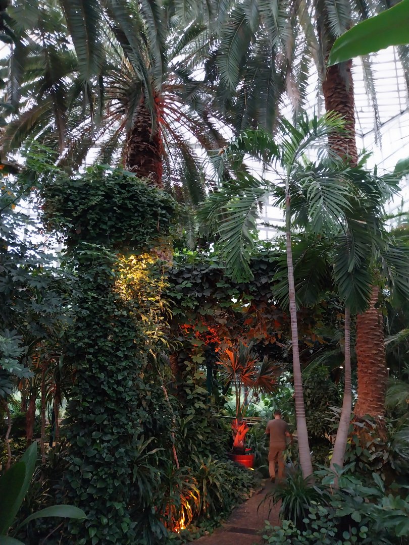 Palmiaria Miejska Gliwice - Historical Pavilion