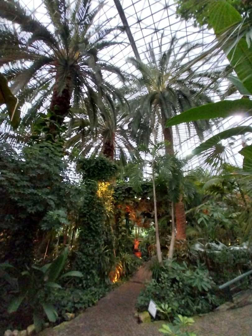 Palmiaria Miejska Gliwice - Historical Pavilion