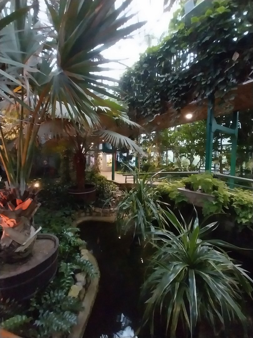 Palmiaria Miejska Gliwice - Historical Pavilion