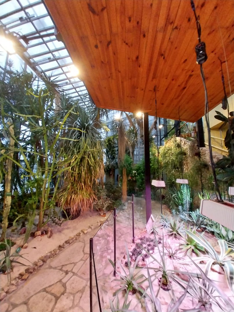 Palmiaria Miejska Gliwice - Succulent Pavilion