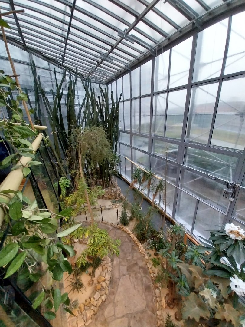 Palmiaria Miejska Gliwice - Succulent Pavilion