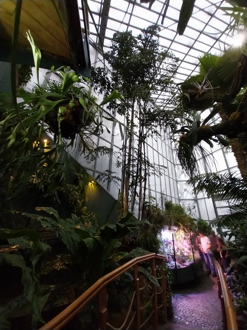 Palmiaria Miejska Gliwice - Tropical Pavilion