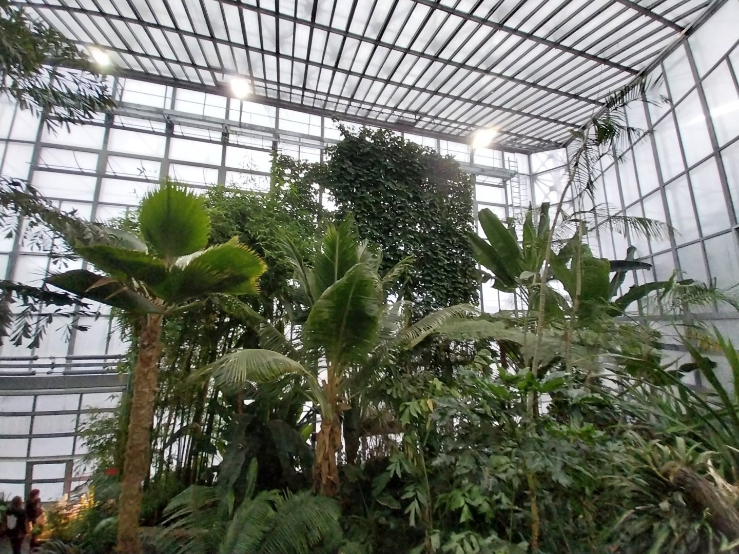 Palmiaria Miejska Gliwice - Tropical Pavilion