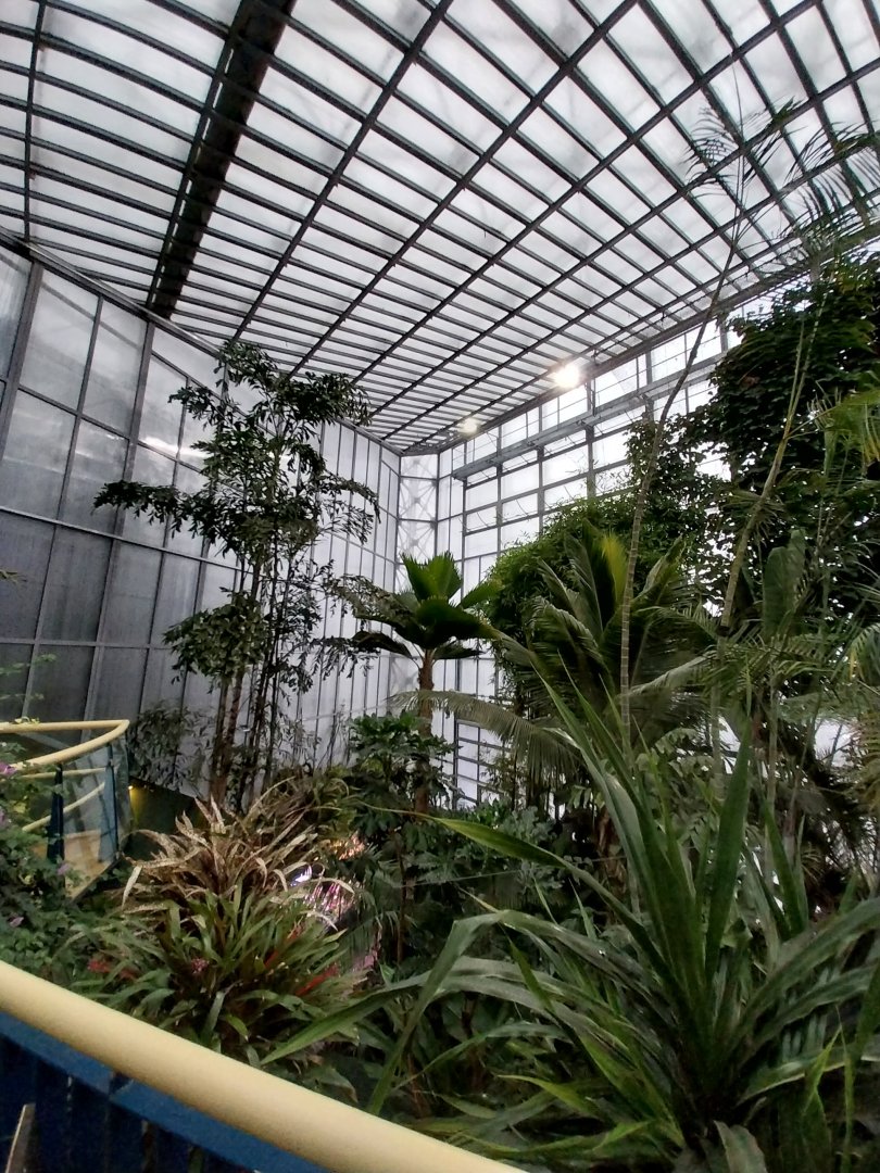 Palmiaria Miejska Gliwice - Tropical Pavilion