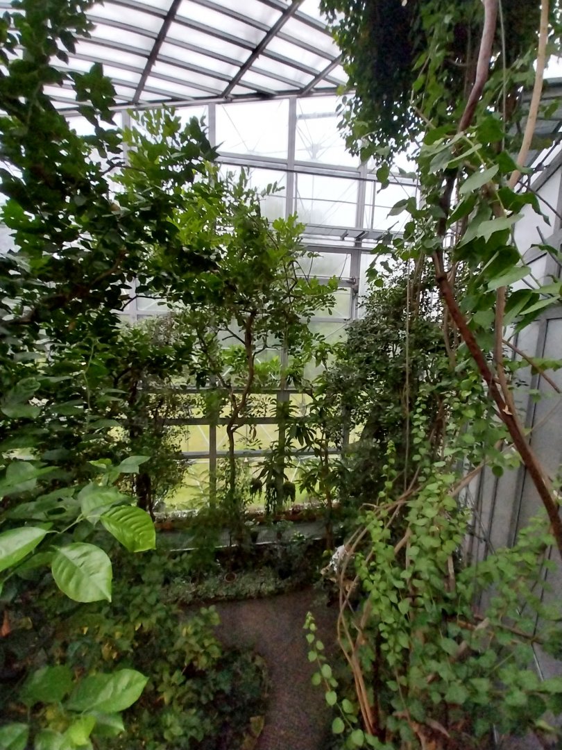 Palmiaria Miejska Gliwice - Utility Plant Pavilion