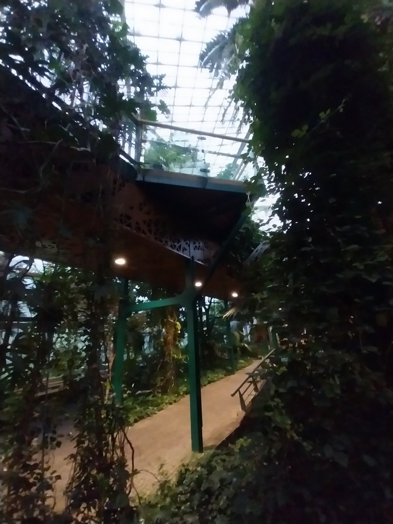 Palmiarinia Miejska Gliwice - Cast-iron visitor walkway