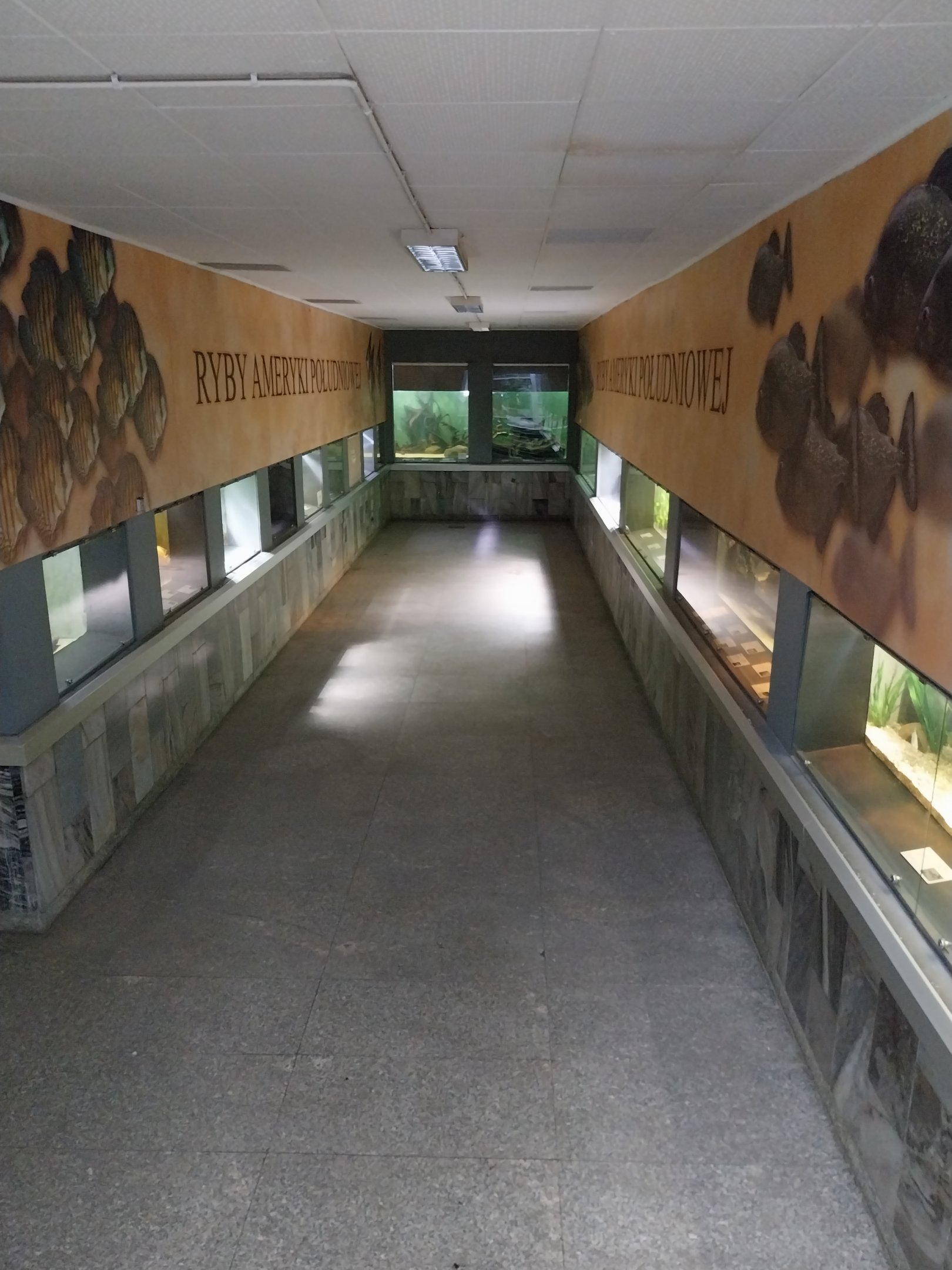 Palmiarni Poznan - American Section