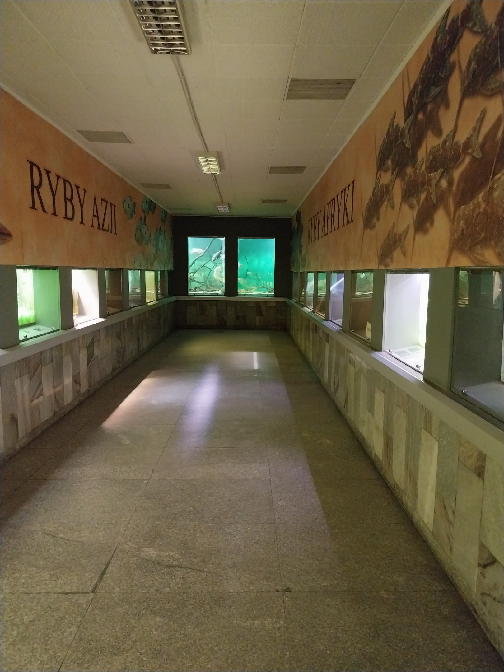 Palmiarni Poznan - Asian (left) and African section