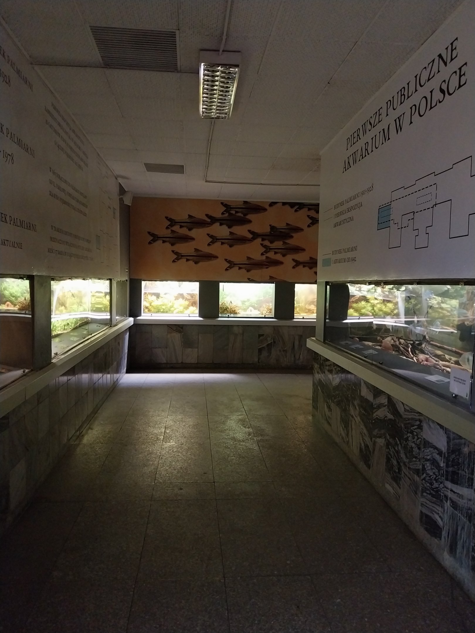 Palmiarni Poznan - Asian section