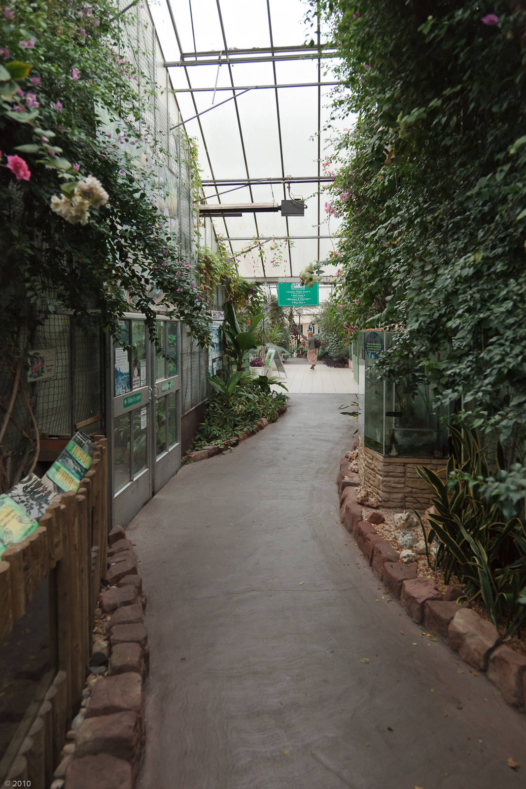 Palms Tropical Oasis - Closing Day - 05/09/2010