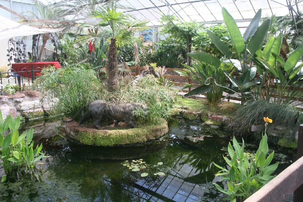 Palms Tropical Oasis gardens