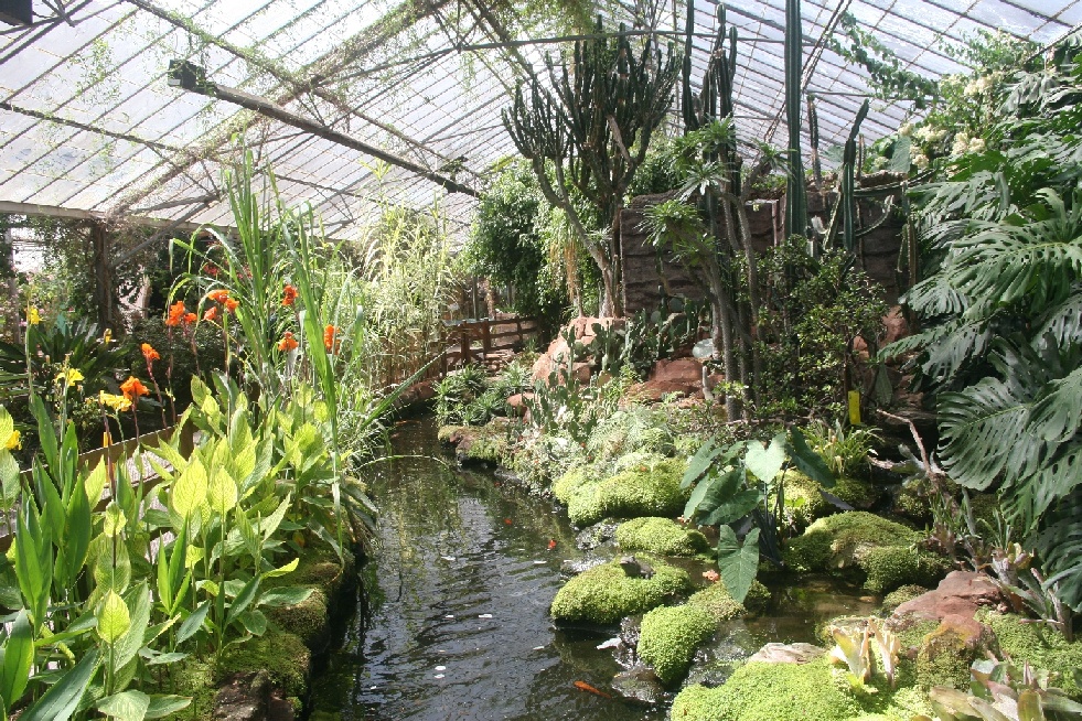 Palms Tropical Oasis gardens