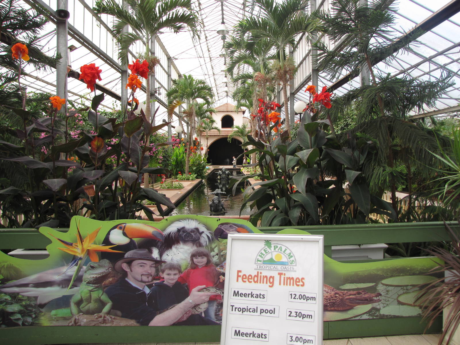 Palms Tropical Oasis