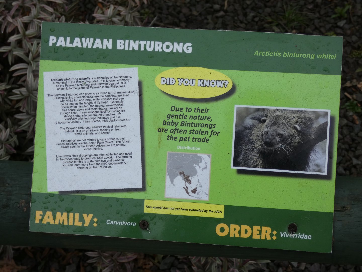 Palwan Binturong Signage