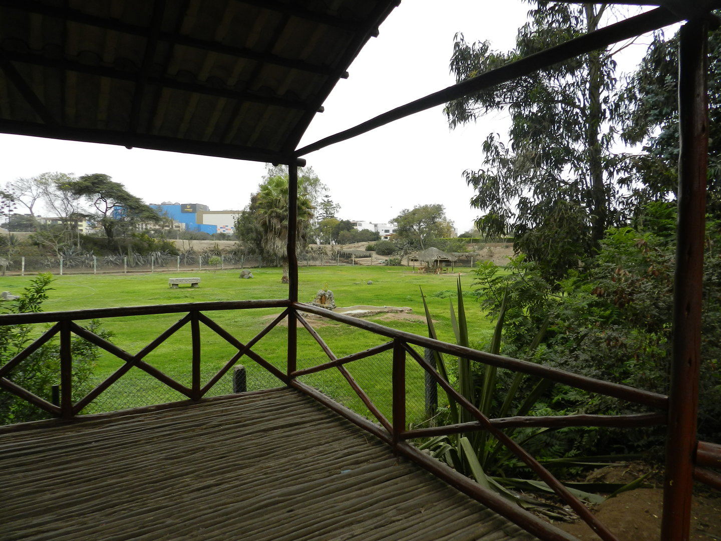 Pampa Galera exhibit - Parque de Las Leyendas