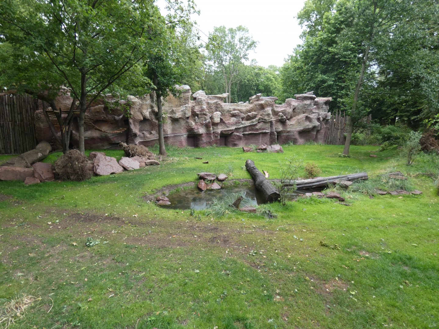 Pampas enclosure in new South America exhibit (2)