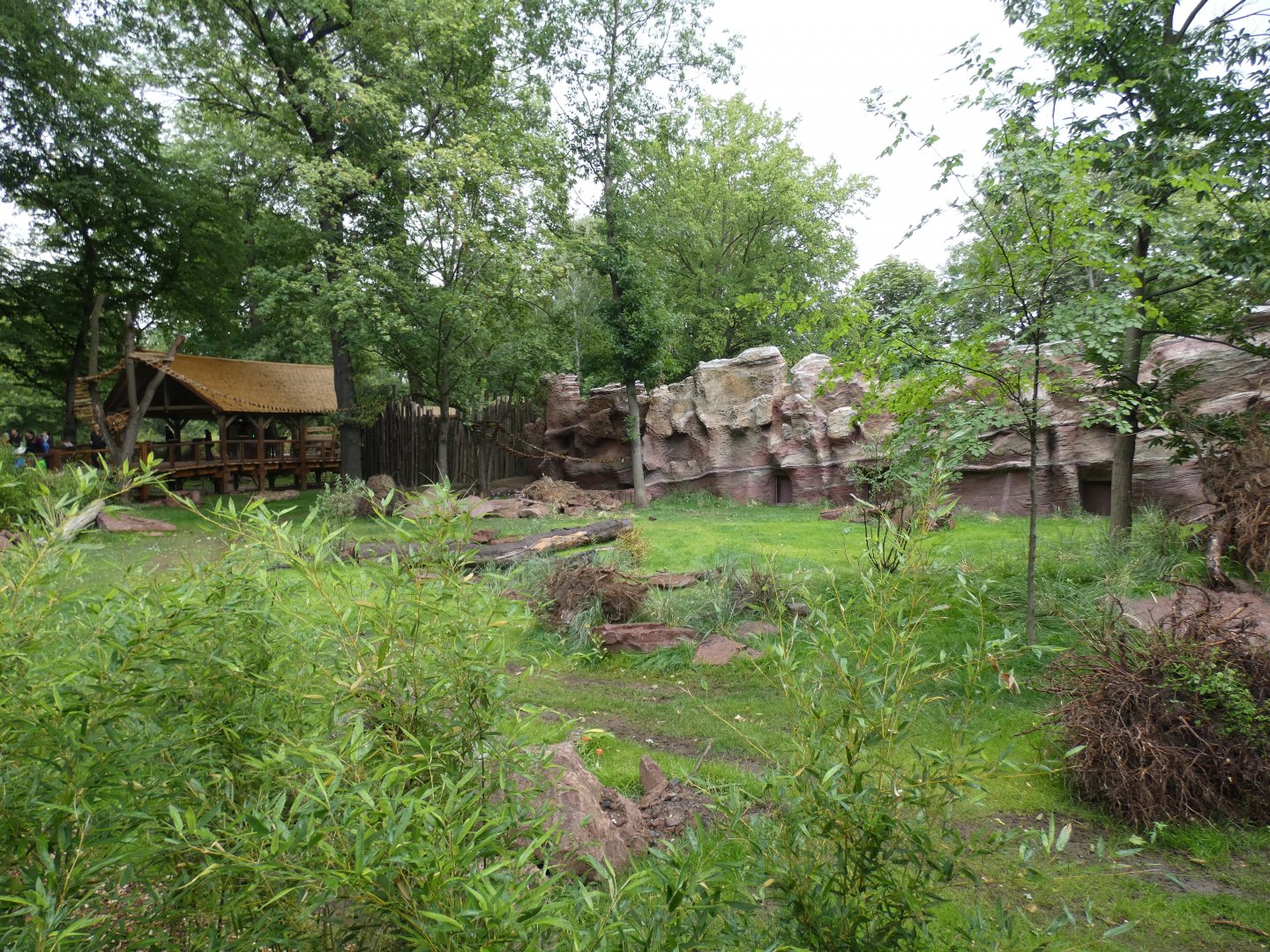 Pampas enclosure in new South America exhibit