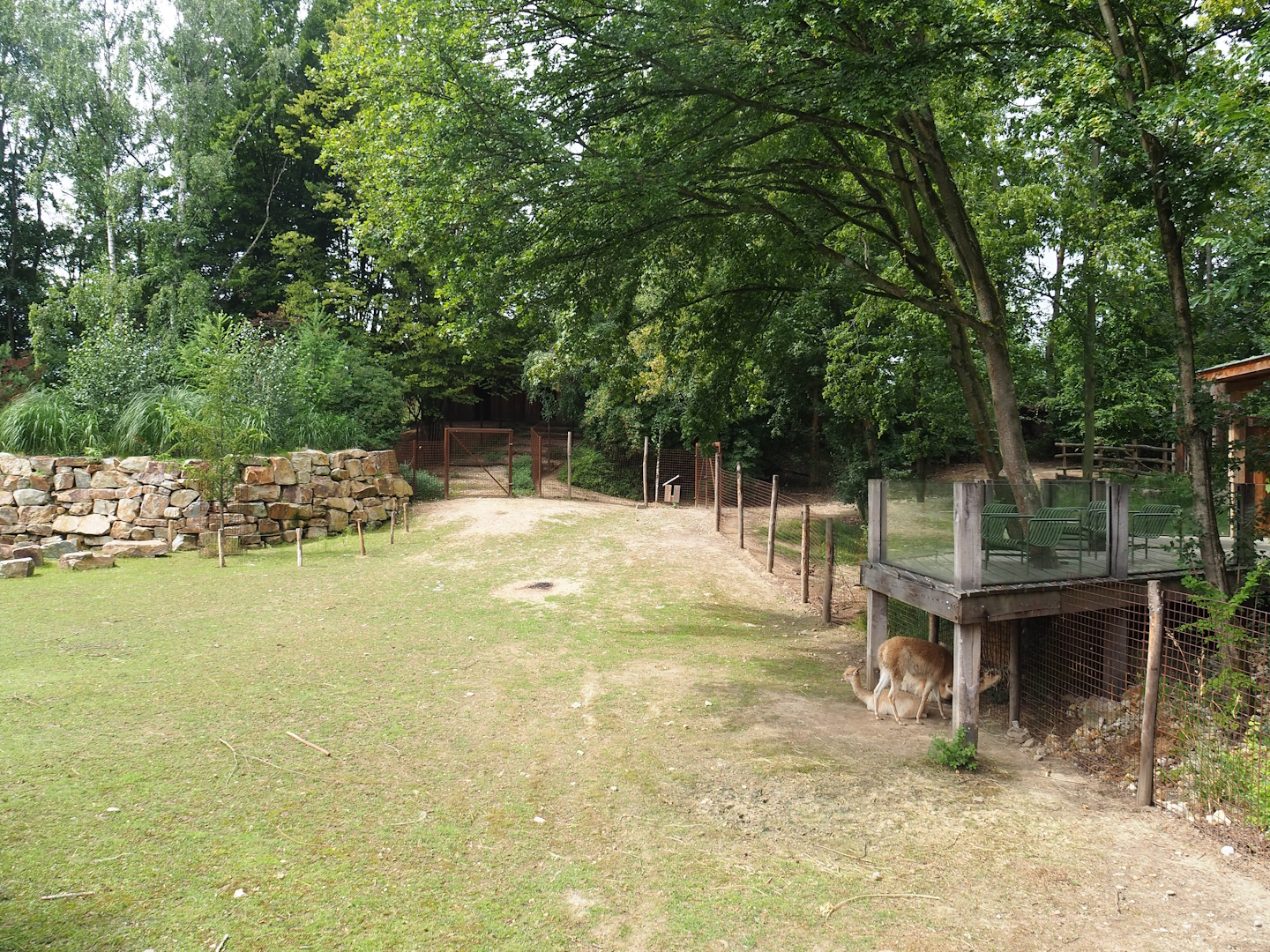 Pampas exhibit, 2023-07-18