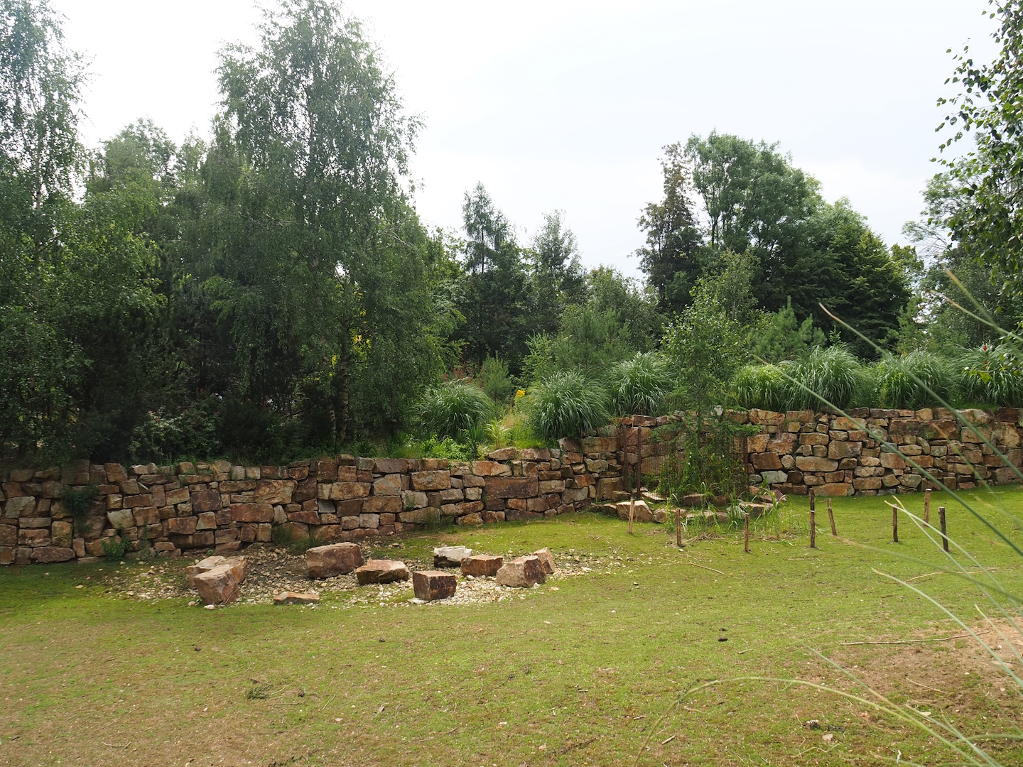 Pampas exhibit, 2023-07-18