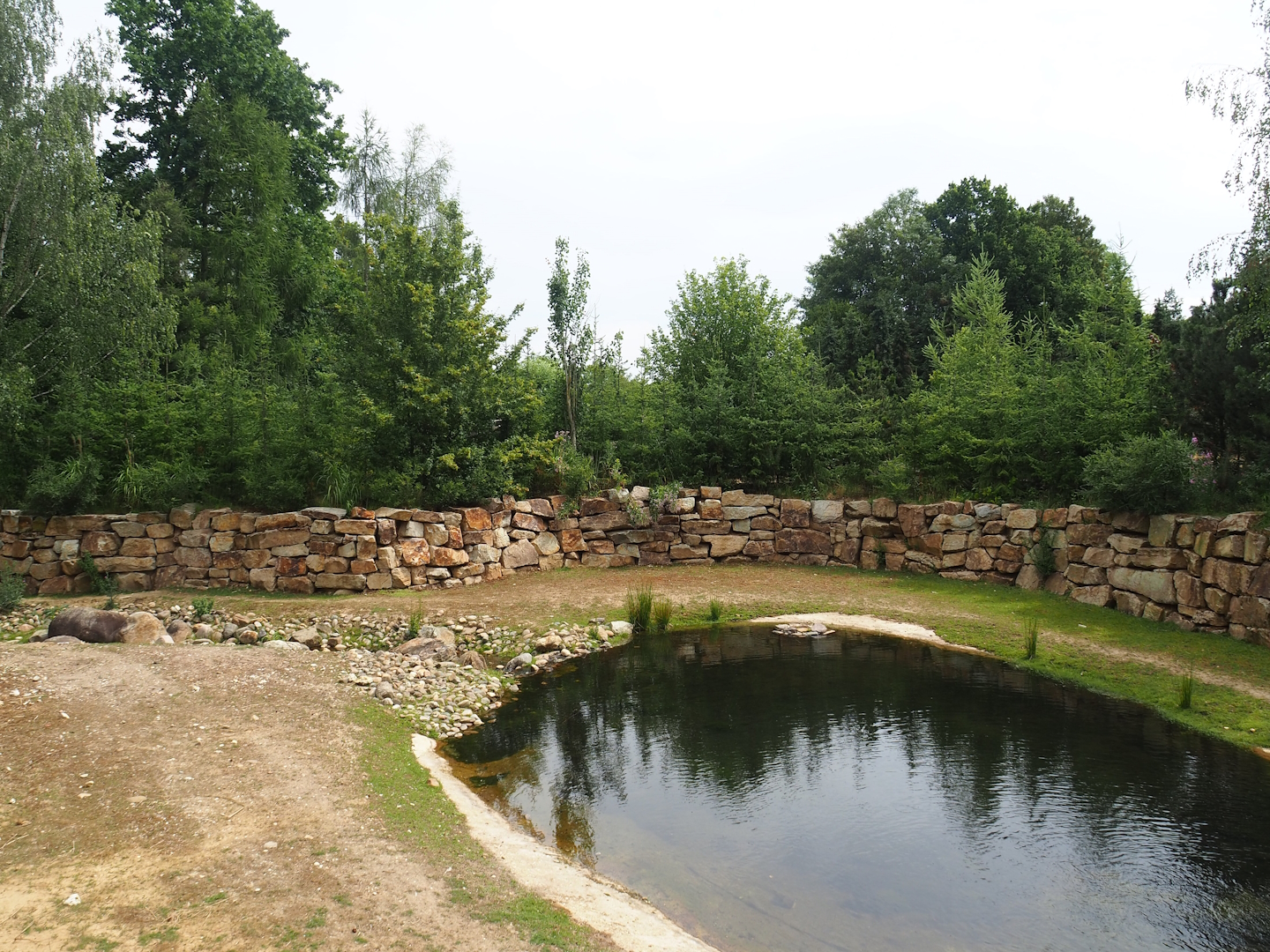 Pampas exhibit, 2023-07-18