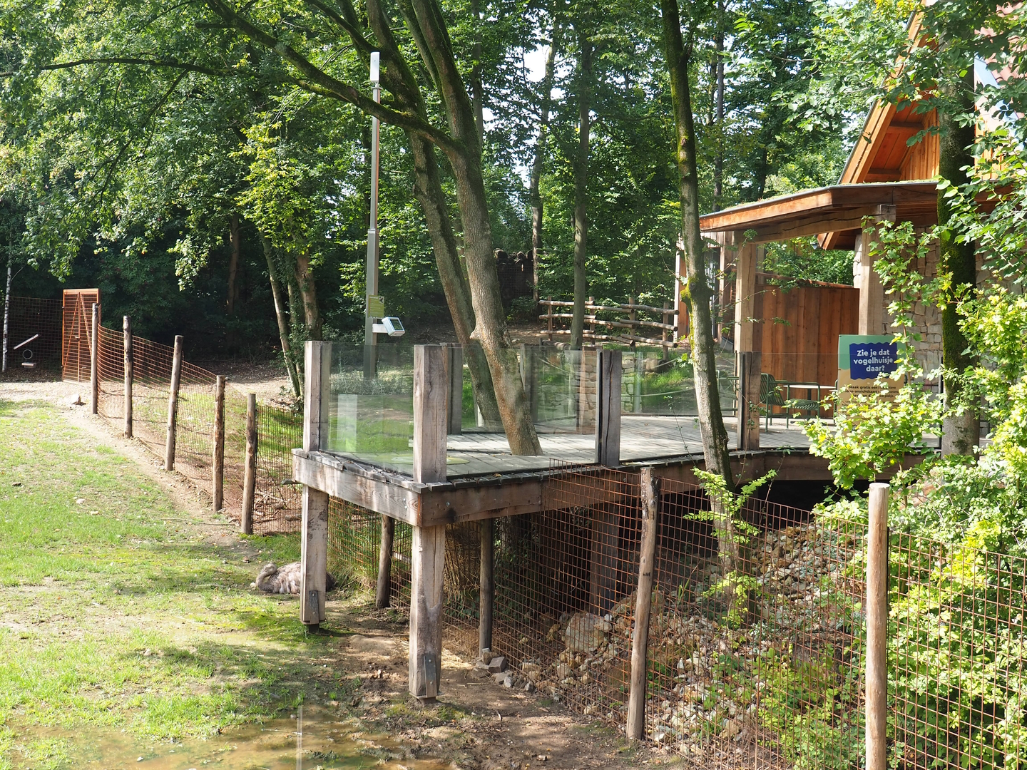 Pampas exhibit viewing area near toilet building, 2022-08-20