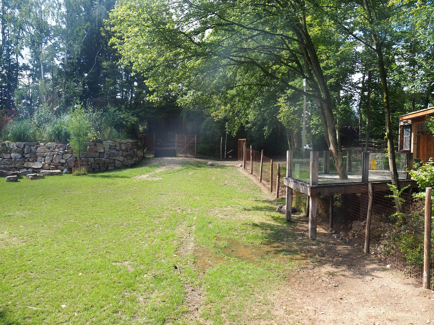 Pampas exhibit with Vicuña, Darwin's rhea and Lowland tapir, 2022-08-20