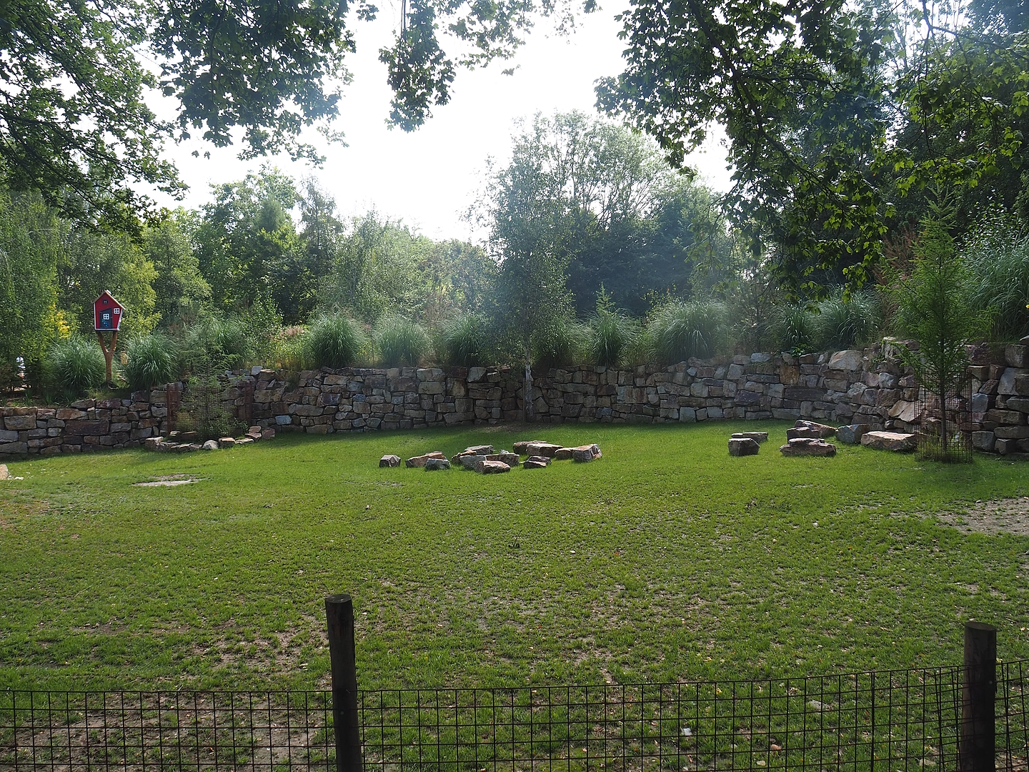 Pampas exhibit with Vicuña, Darwin's rhea and Lowland tapir, 2022-08-20