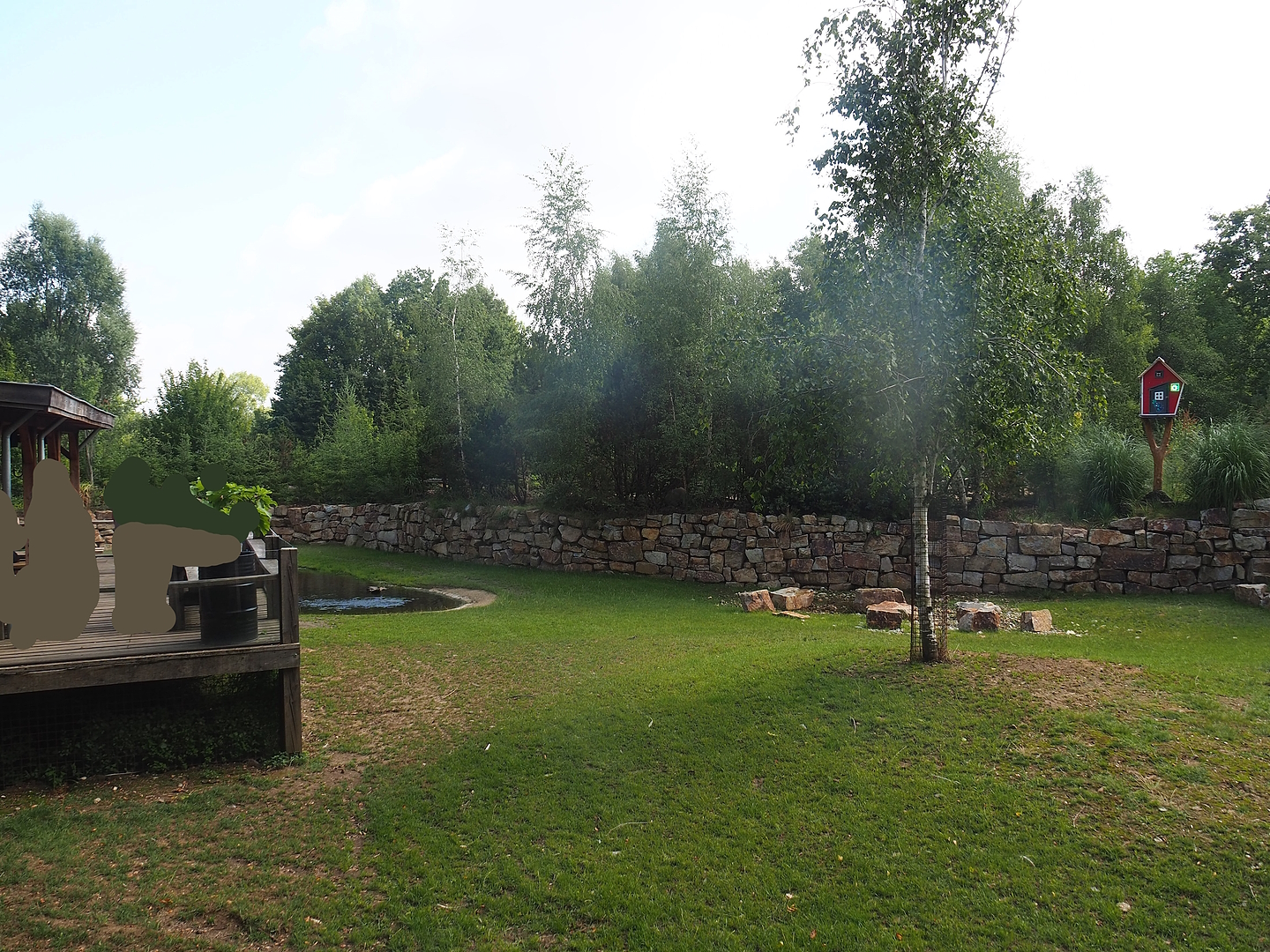 Pampas exhibit with Vicuña, Darwin's rhea and Lowland tapir, 2022-08-20