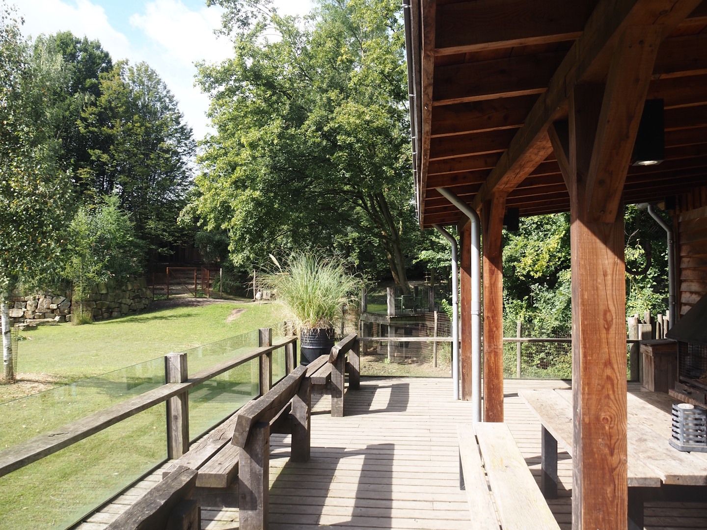 Pampas Lodge terrace and Mixed South American exhibit with South American tapir, Vicuña and Lesser rhea, 2024-08-21