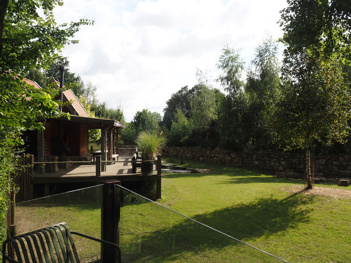 Pampas Lodge terrace and Mixed South American exhibit with South American tapir, Vicuña and Lesser rhea, 2024-08-21