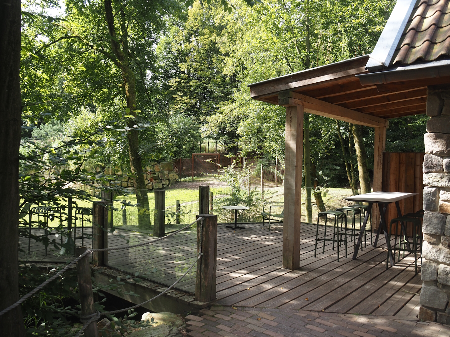 Pampas Lodge terrace next to mixed South American exhibit, 2024-08-21