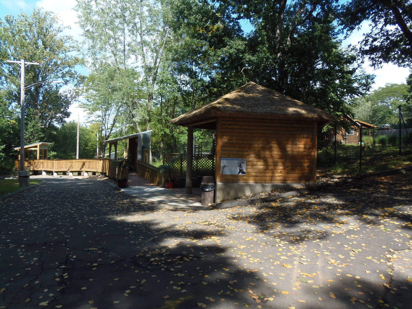 Pampas Plains Beginning