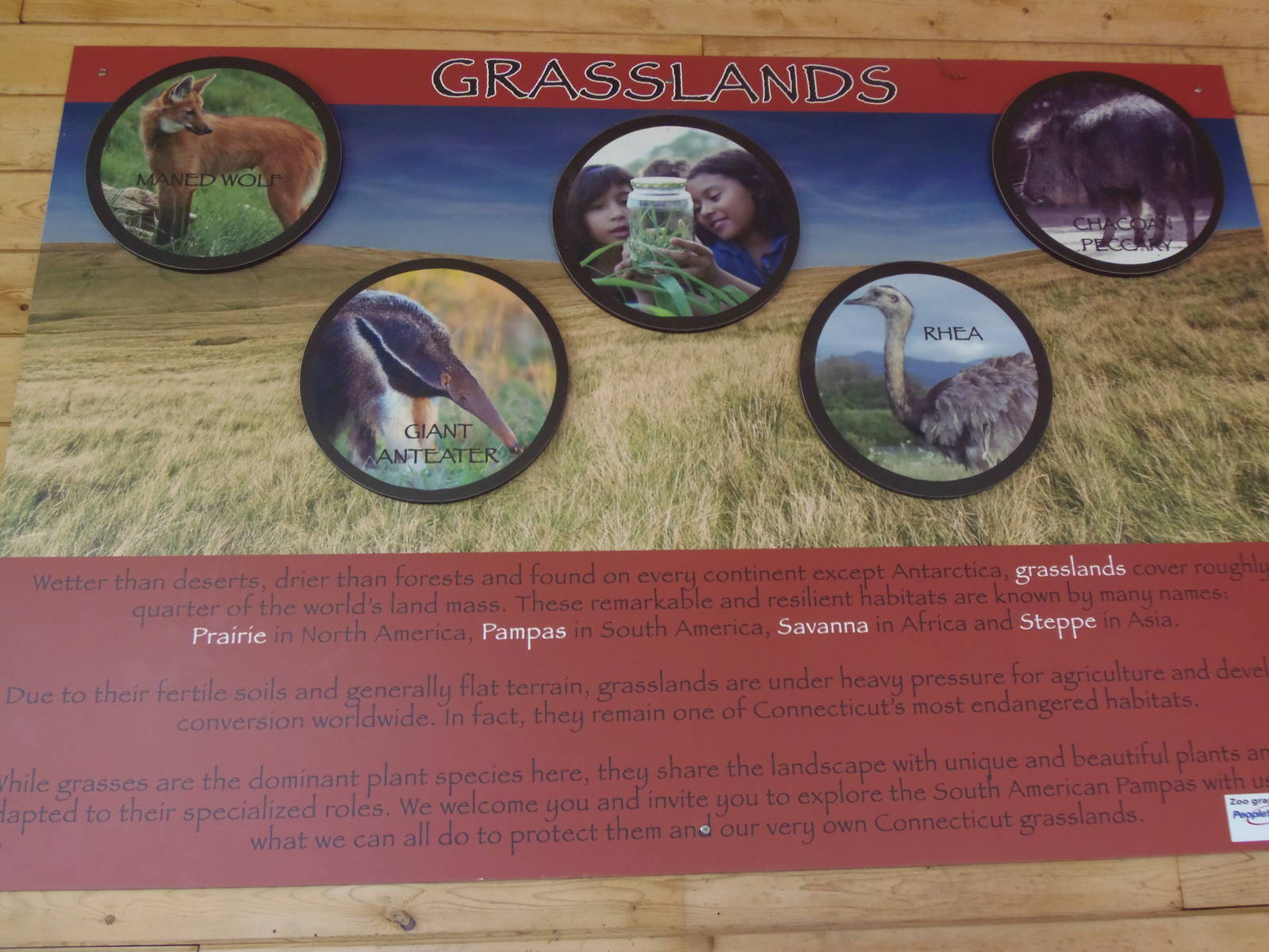 Pampas Plains- Grasslands Sign
