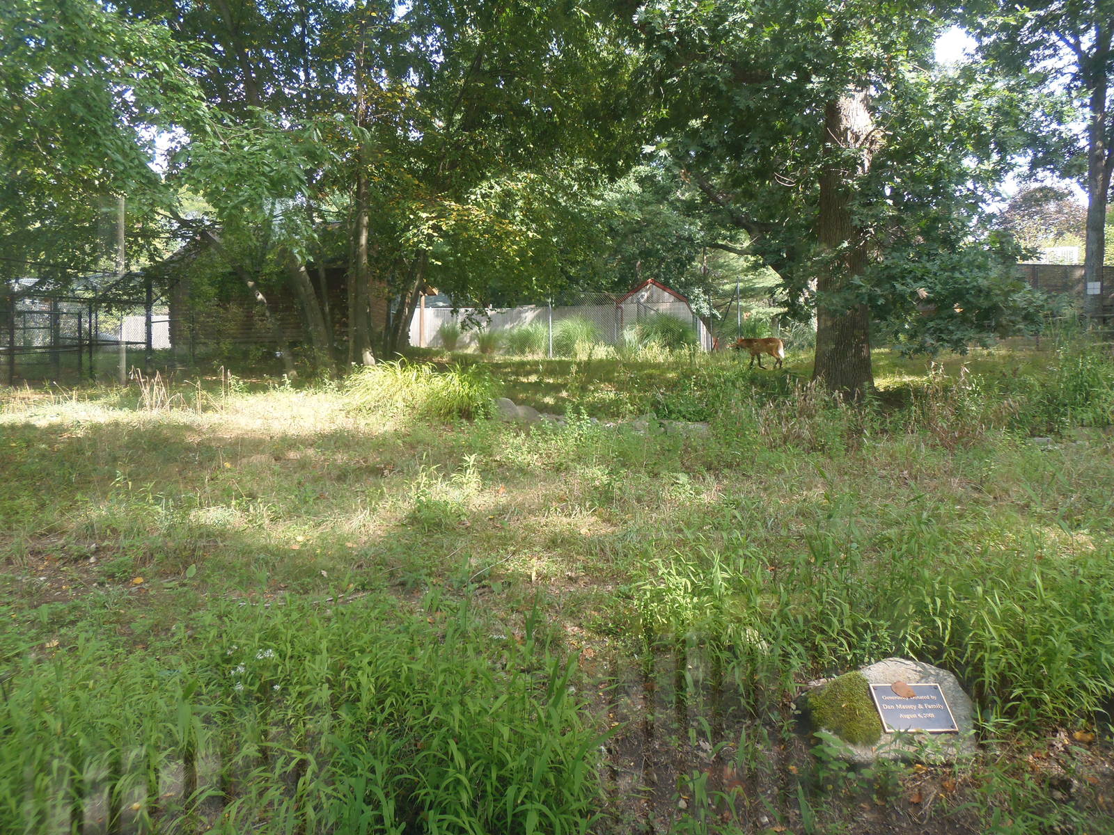 Pampas Plains- Maned Wolf Exhibit