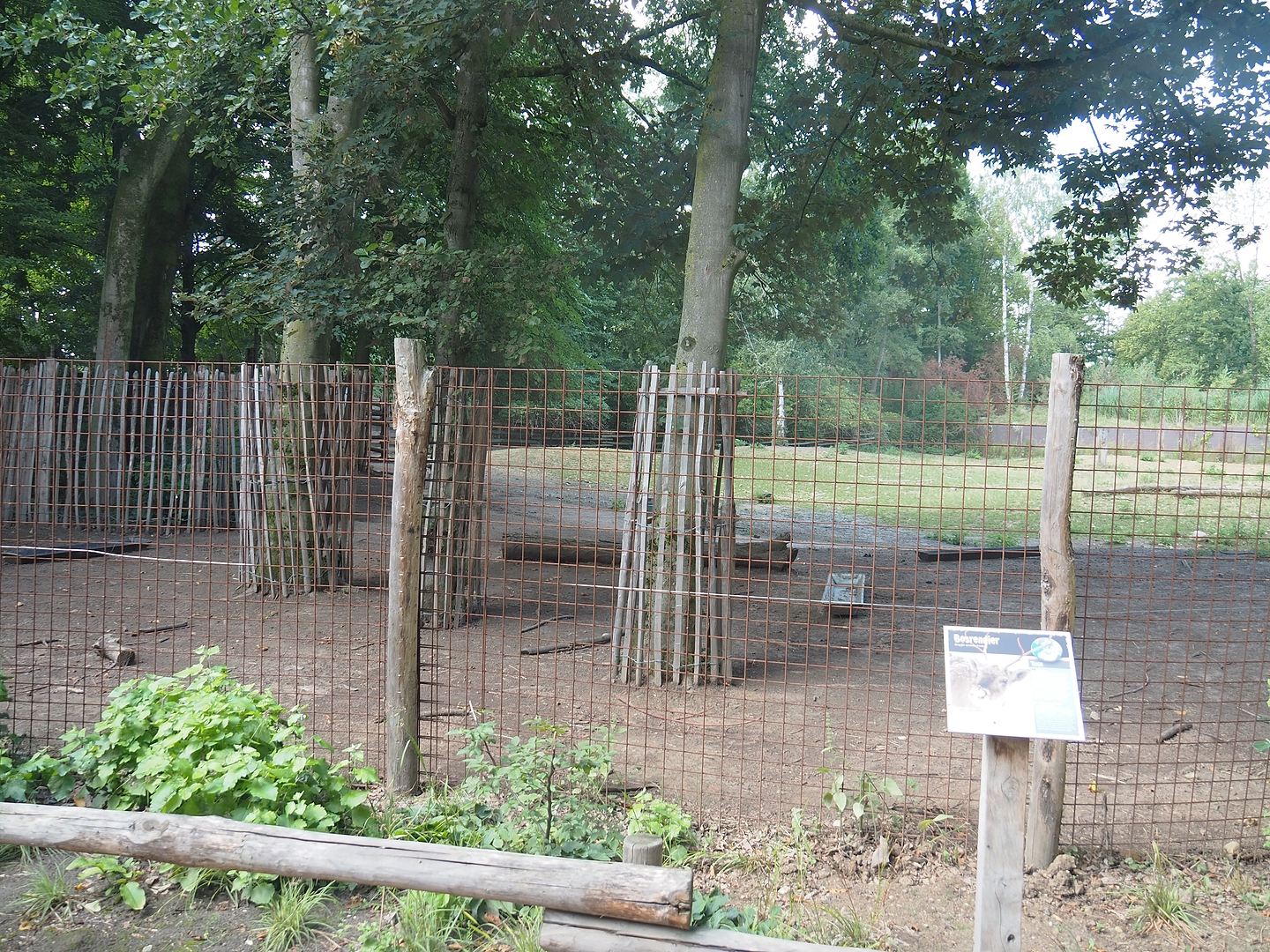 Pampas-side part of the Eurasian forest reindeer exhibit (Former musk ox exhibit), seen from the exit of the zoo, 2022-08-20