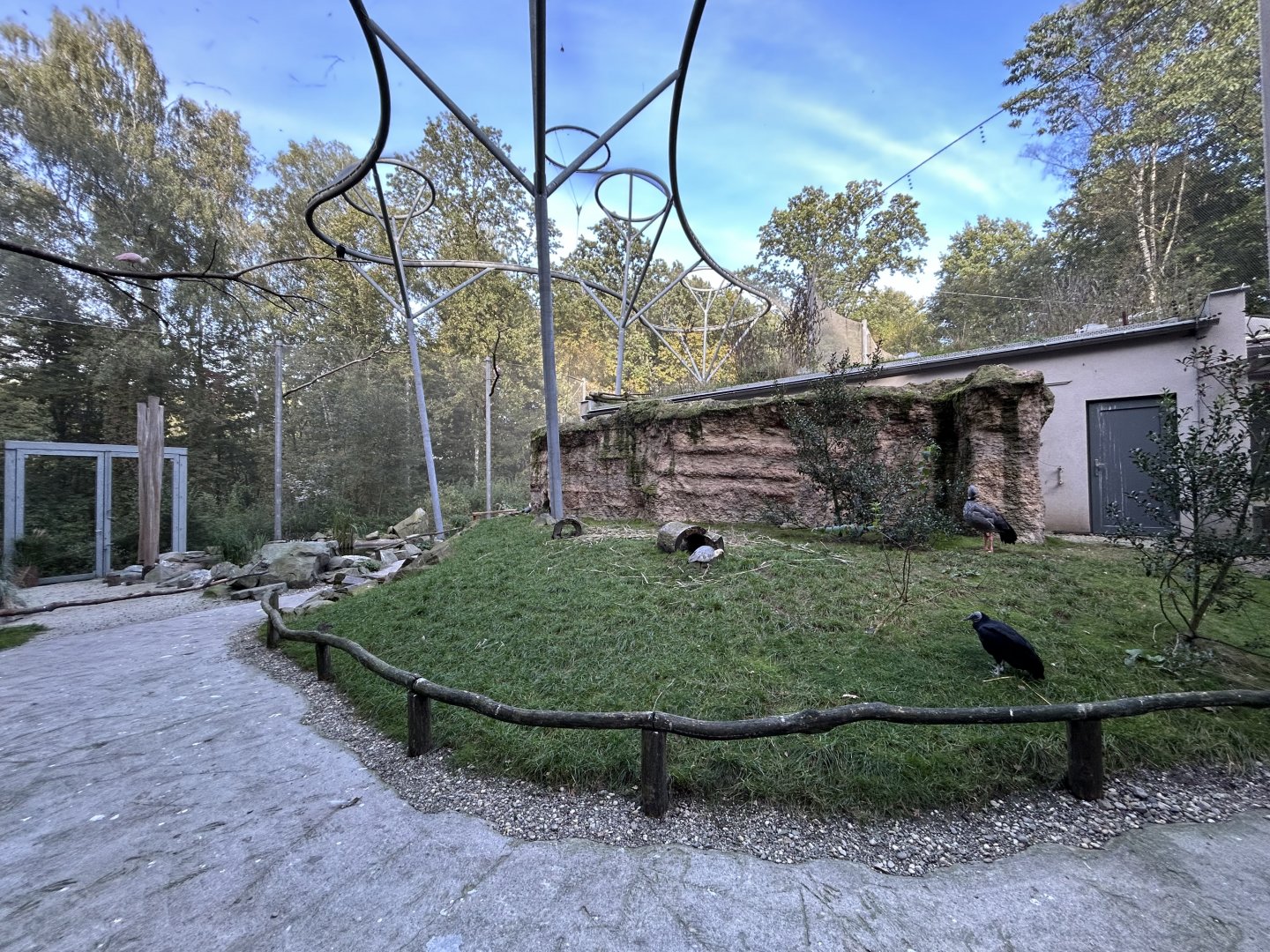 Pampas Walkthrough Aviary