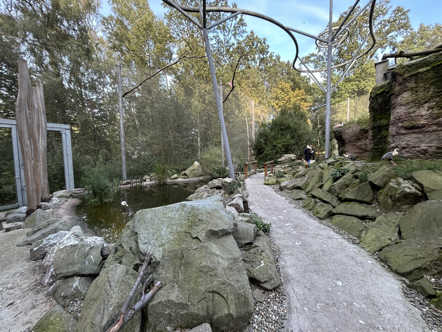 Pampas Walkthrough Aviary