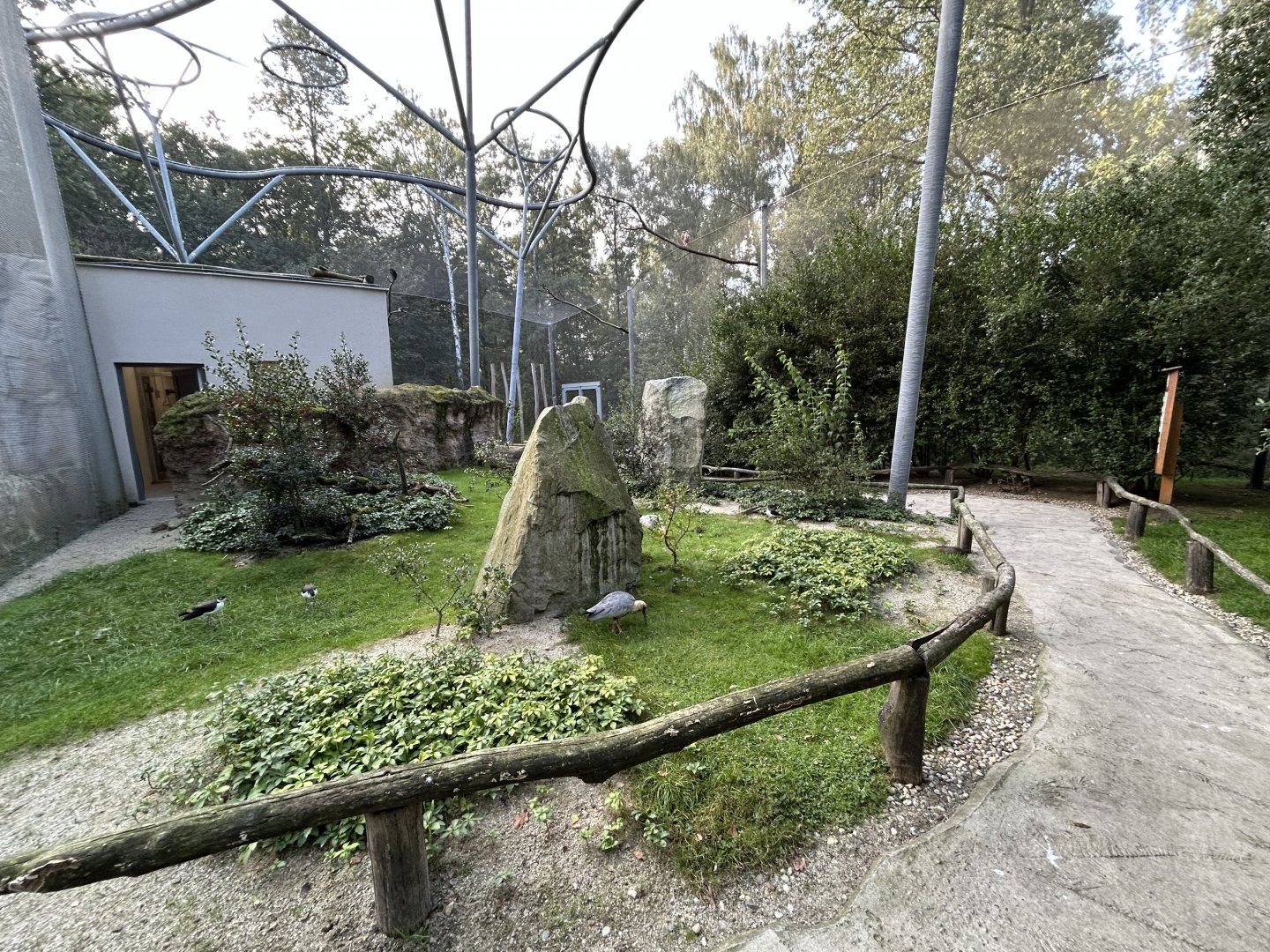 Pampas Walkthrough Aviary