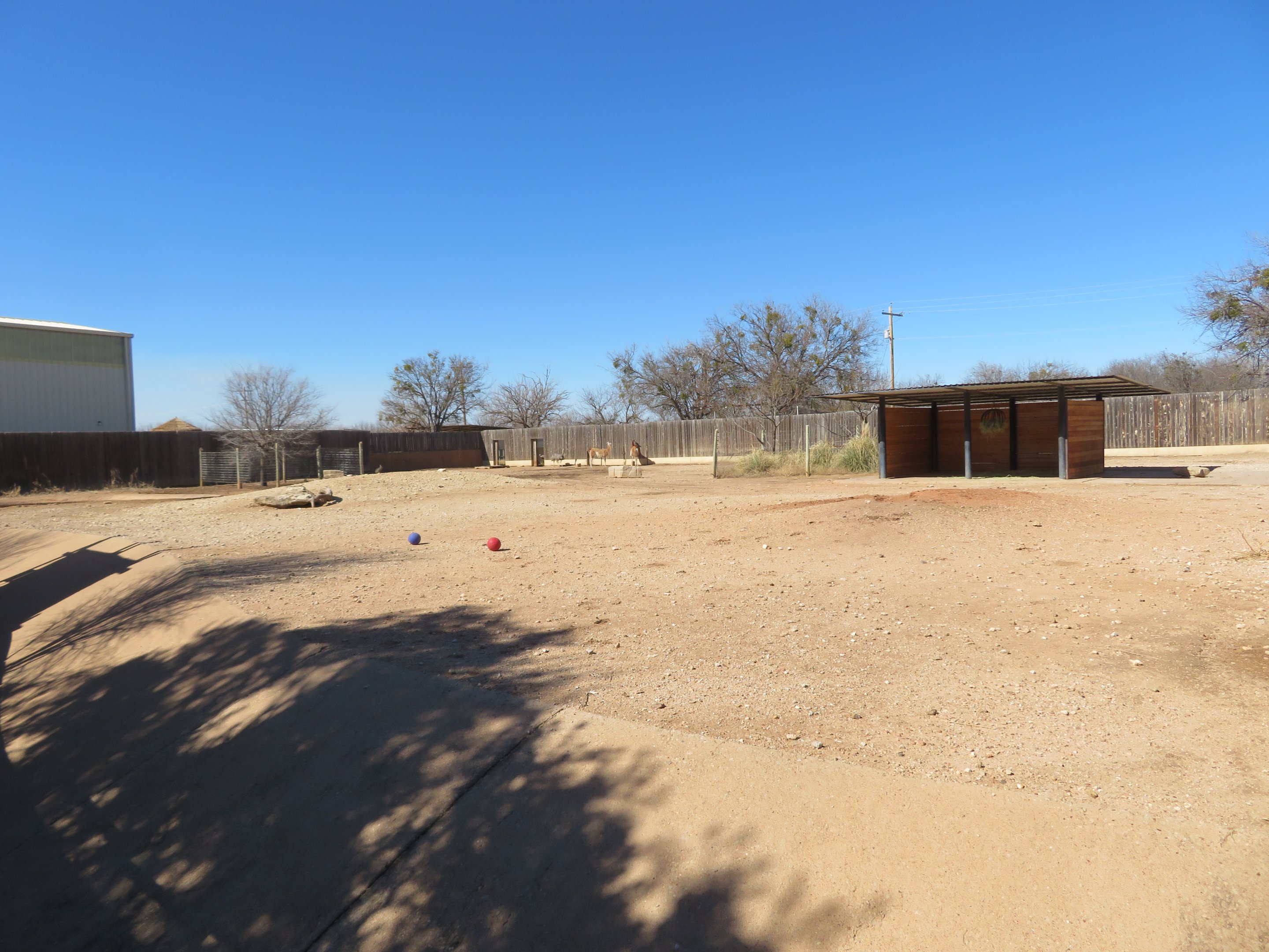 Pampas Yard (3 species)