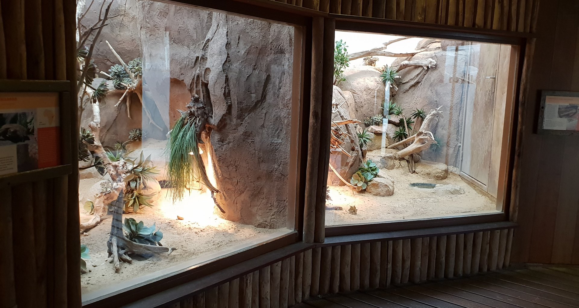 Pancake tortoise and Plated lizard enclosures