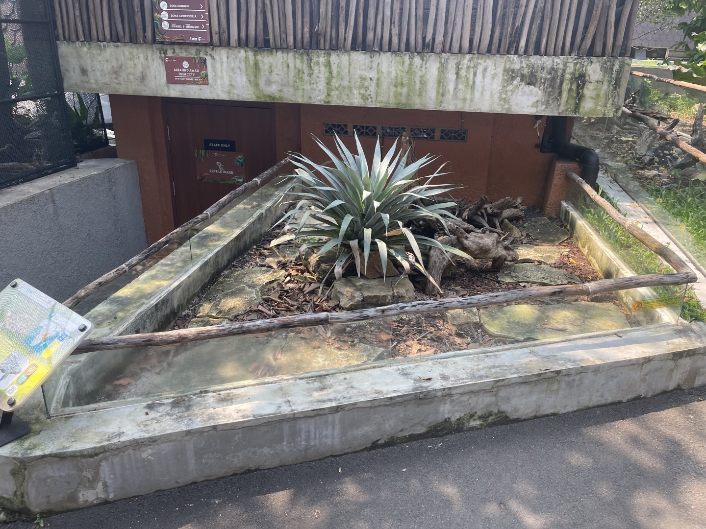 pancake tortoise exhibit - museum komodo