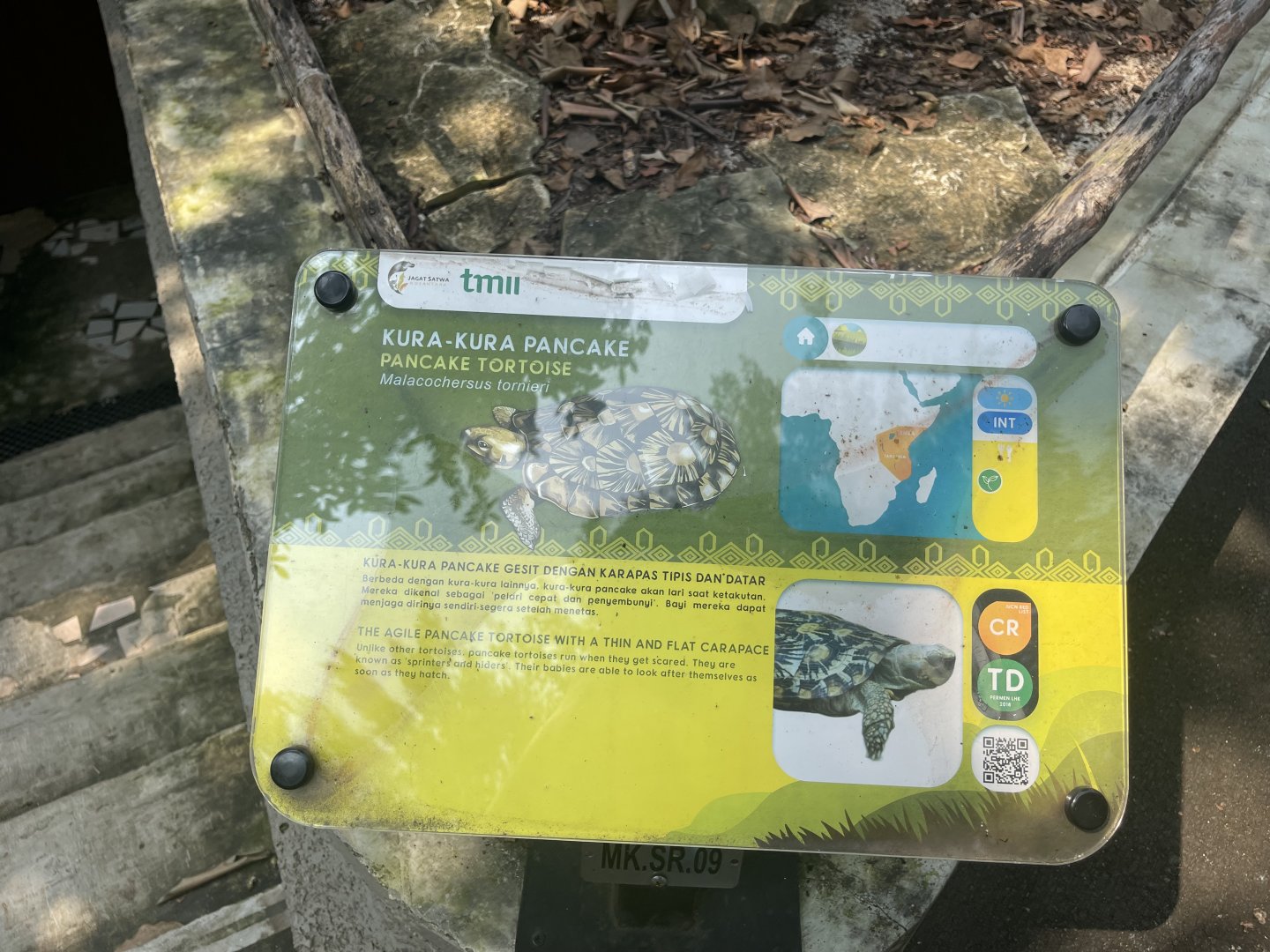 pancake tortoise signage - museum komodo