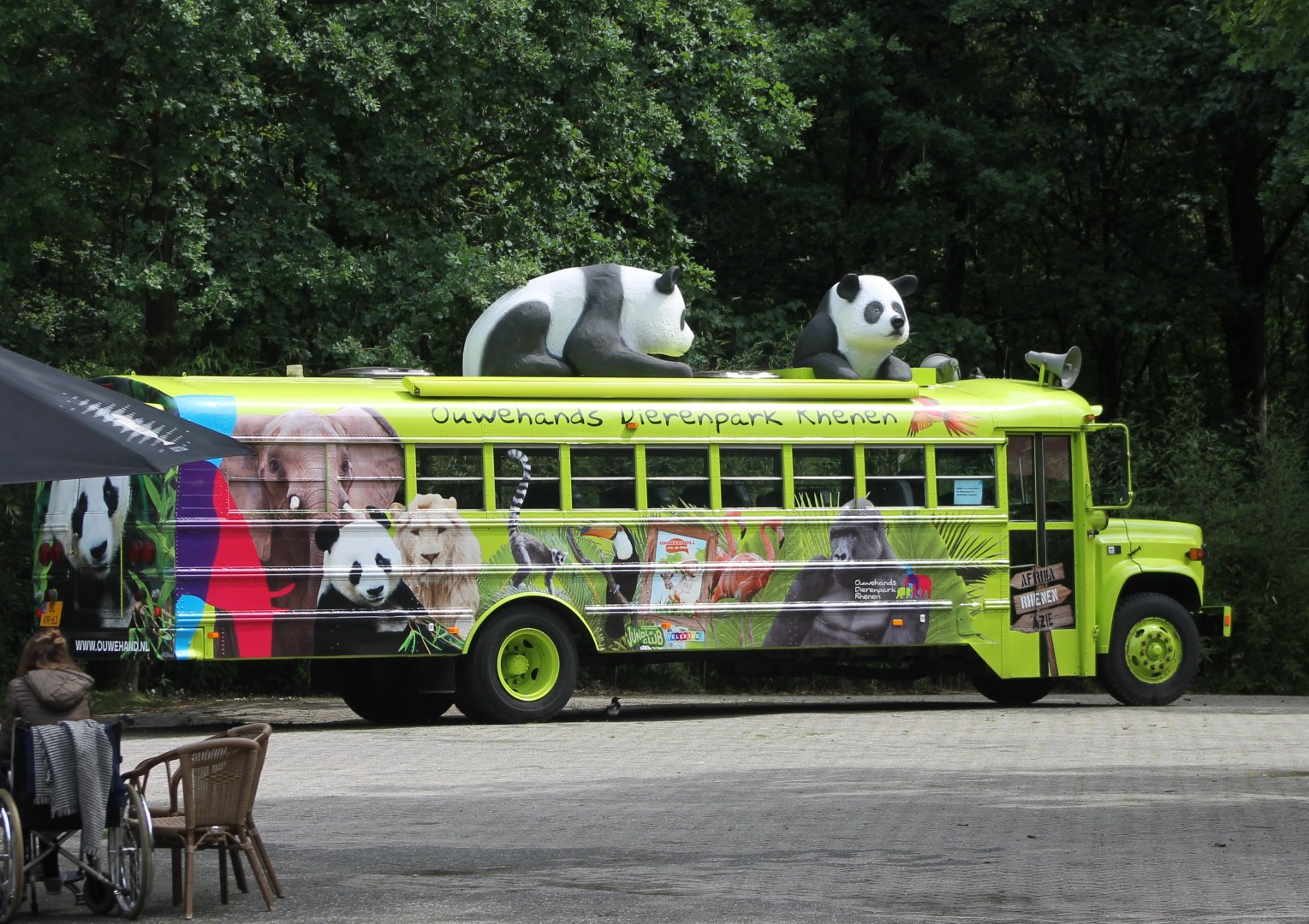 Panda-bus