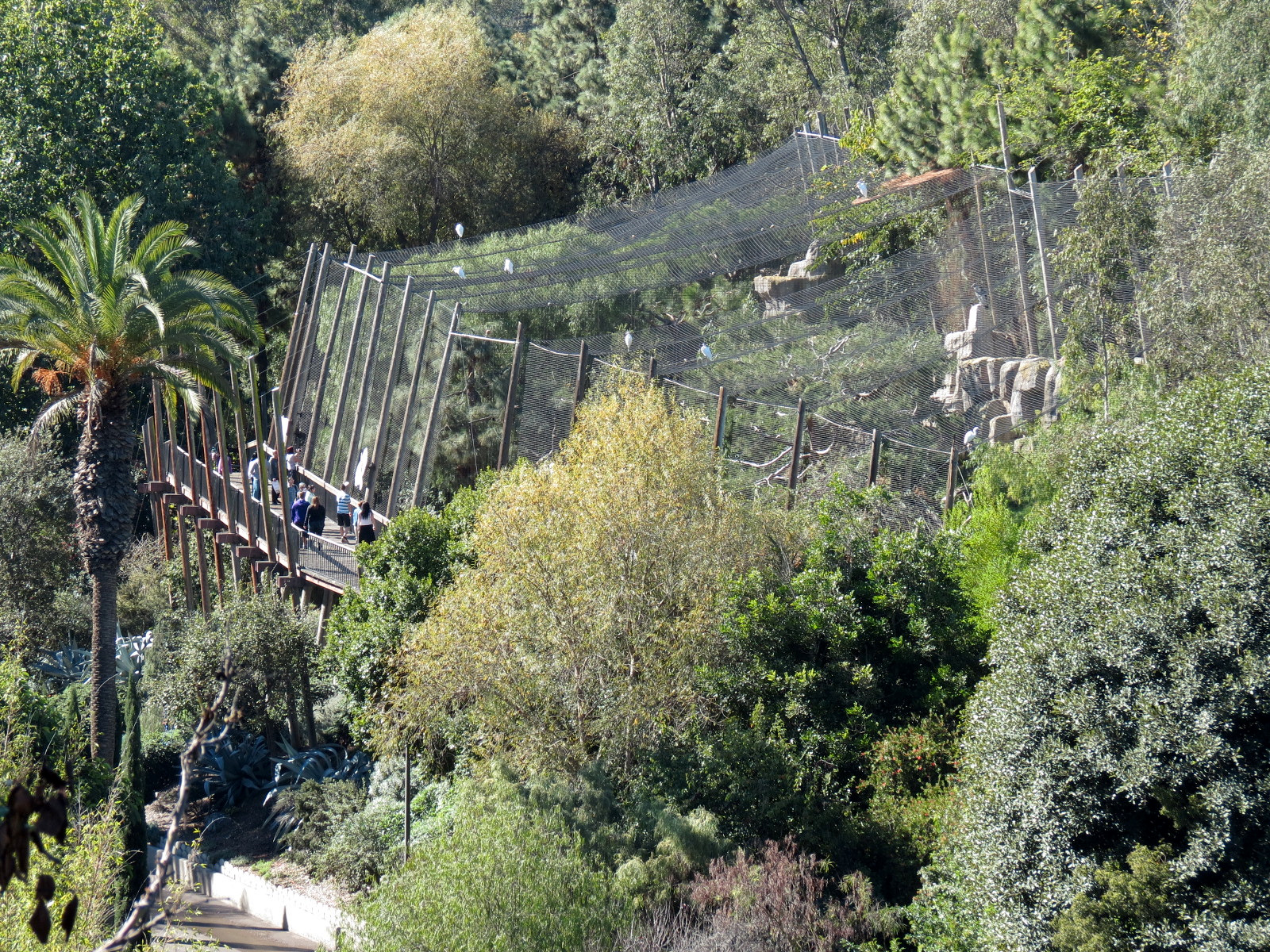 Panda Canyon - Birds of Prey Exhibits