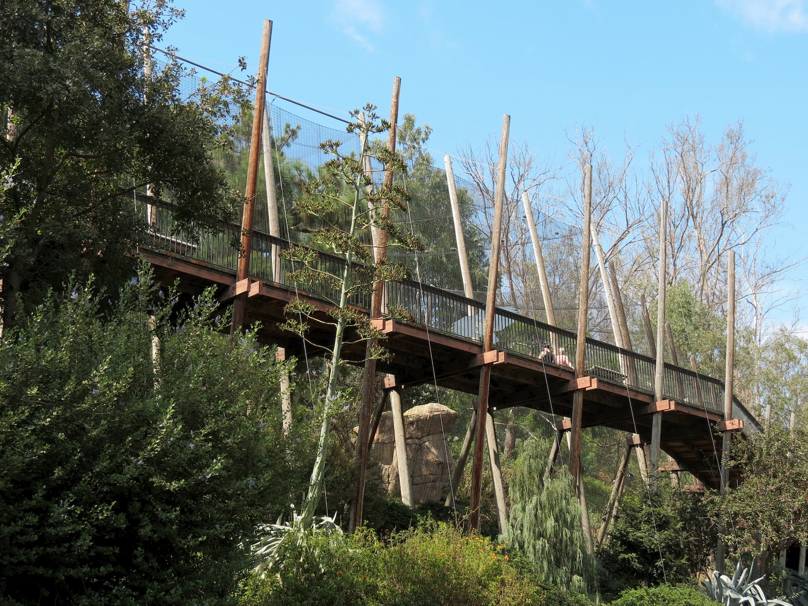 Panda Canyon - Birds of Prey Exhibits