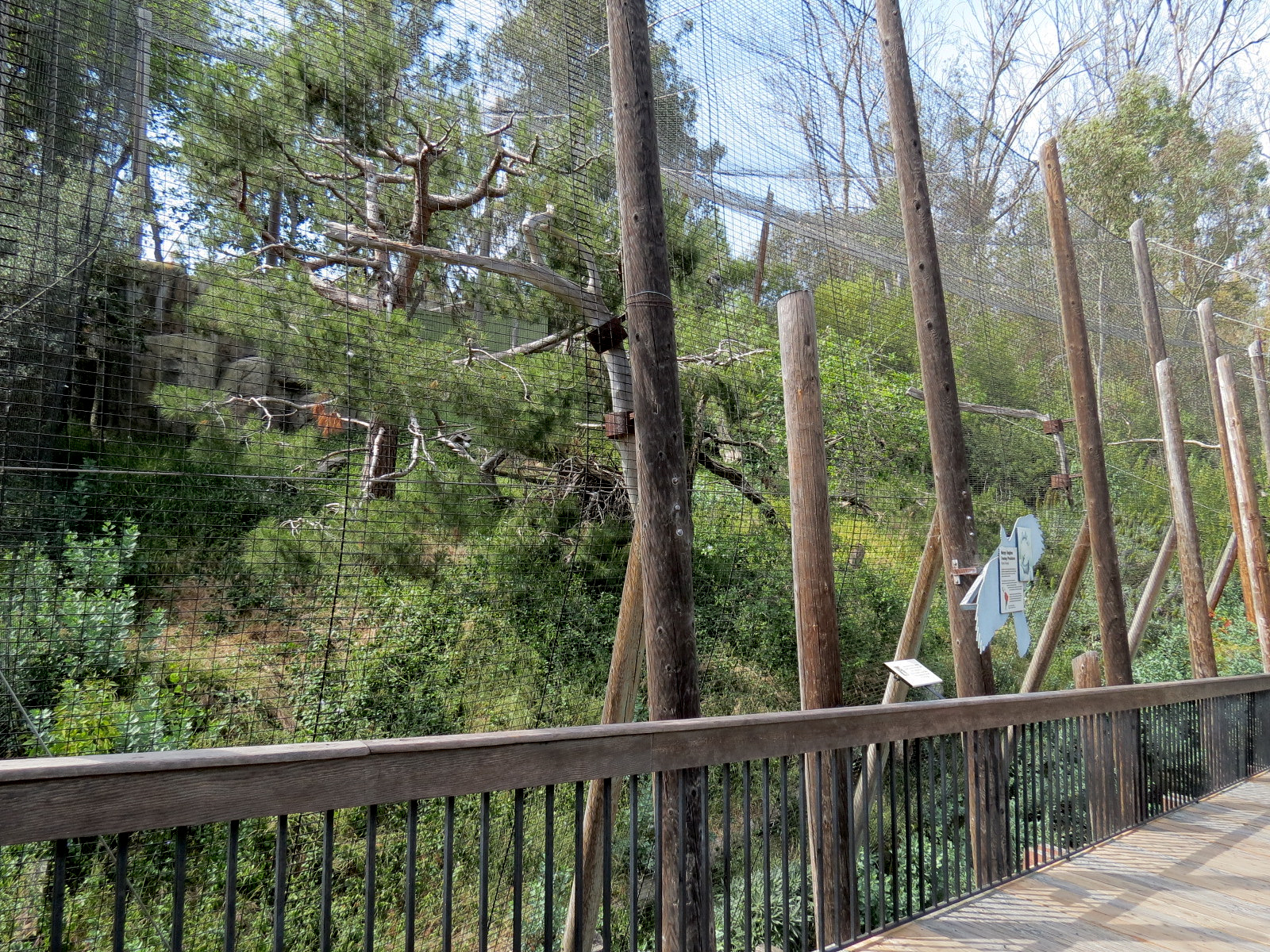 Panda Canyon - Birds of Prey - Harpy Eagle Exhibit