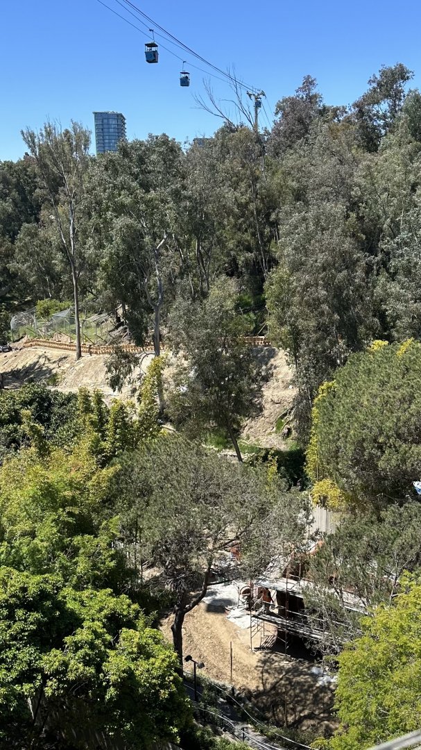 Panda Canyon Construction