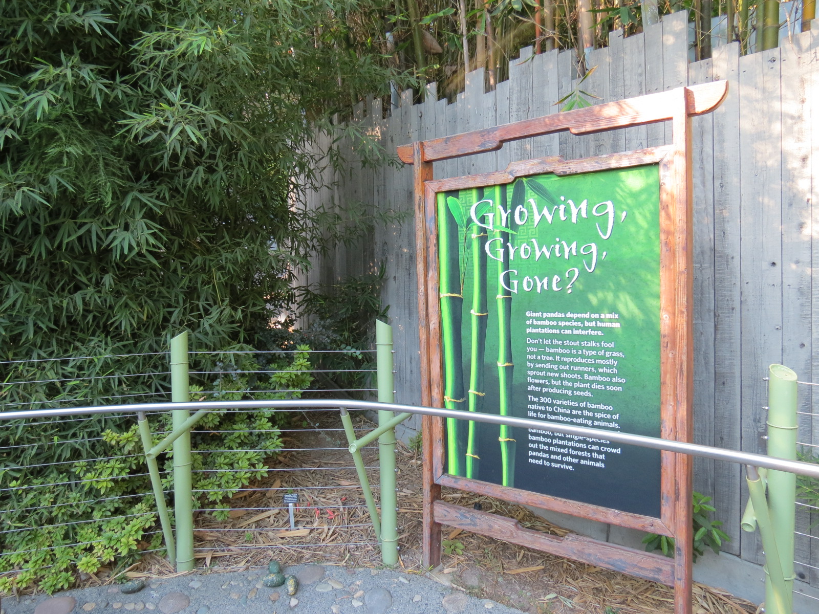Panda Canyon - Panda Trek - Bamboo Signage